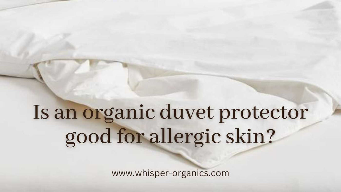 organic-duvet-protector