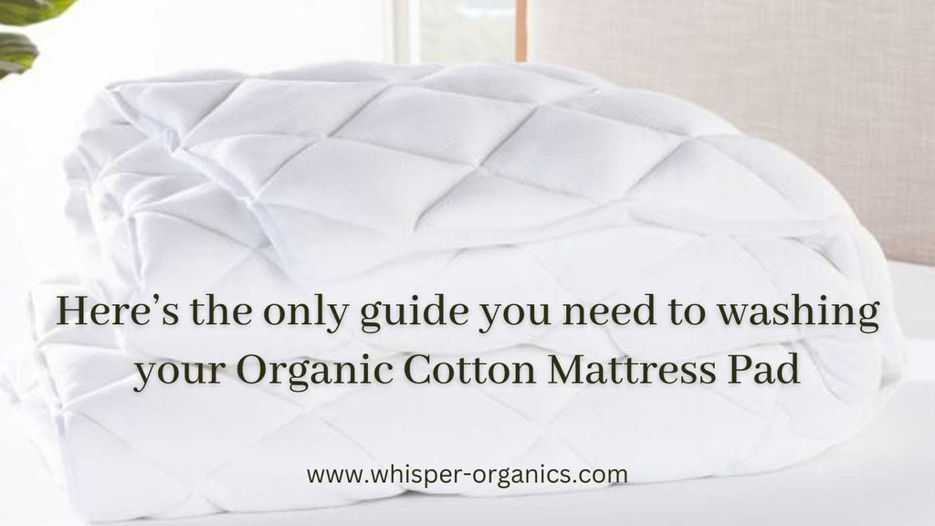 guide-to-wash-organic-cotton-mattress