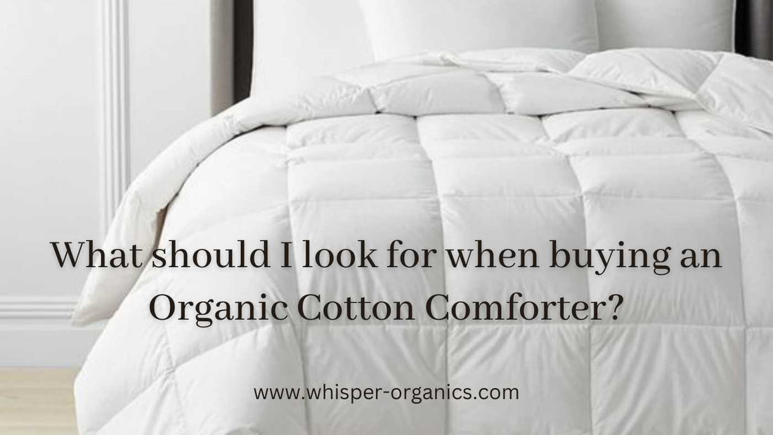 buy-organic-cotton-comforter