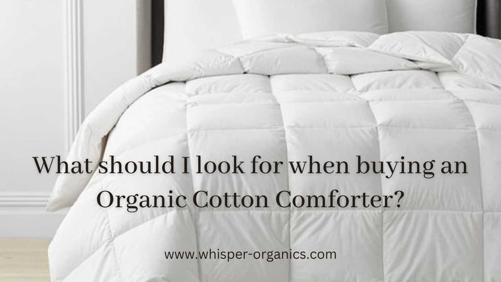 buy-organic-cotton-comforter