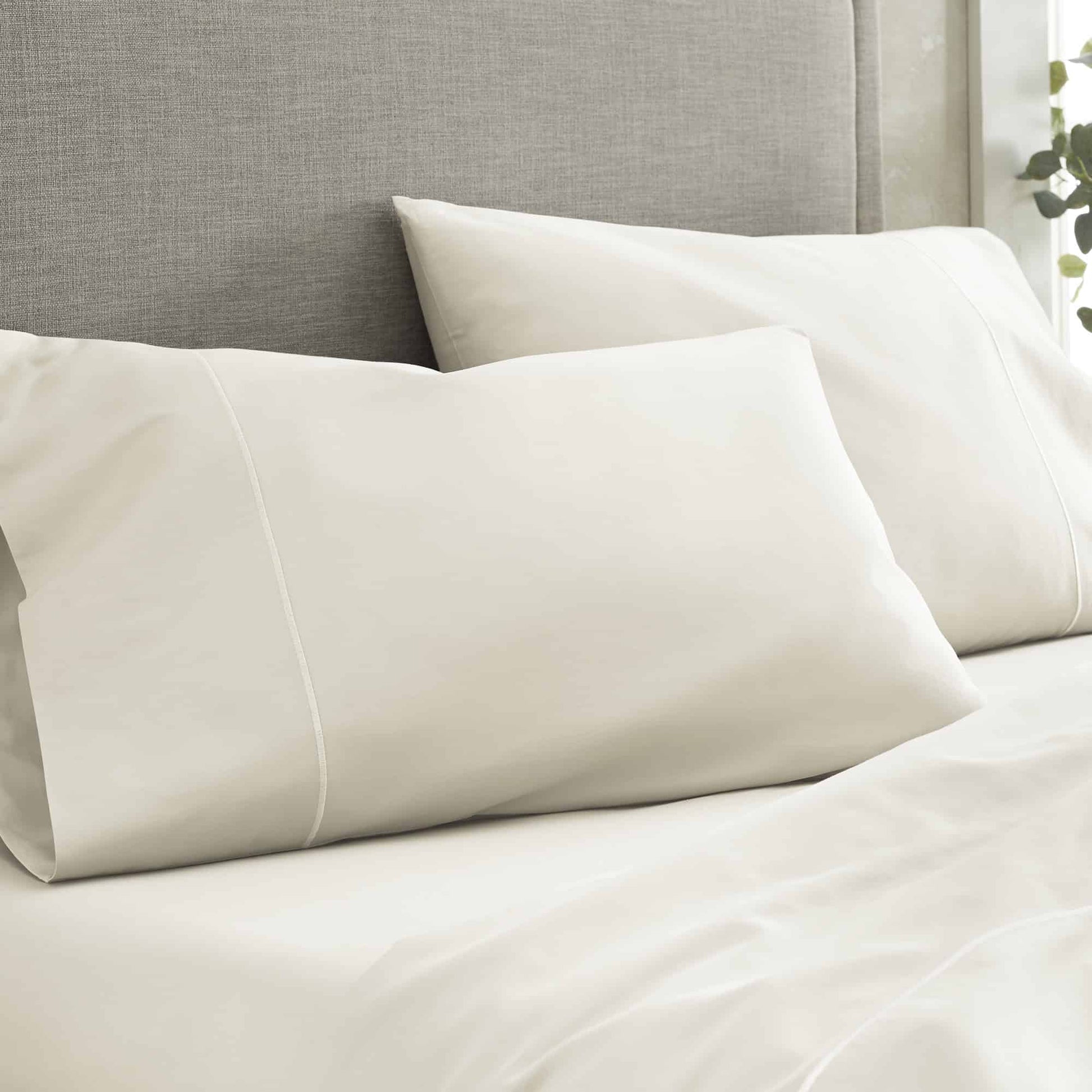 500 TC Sateen Bed Sheets Whisper Organics