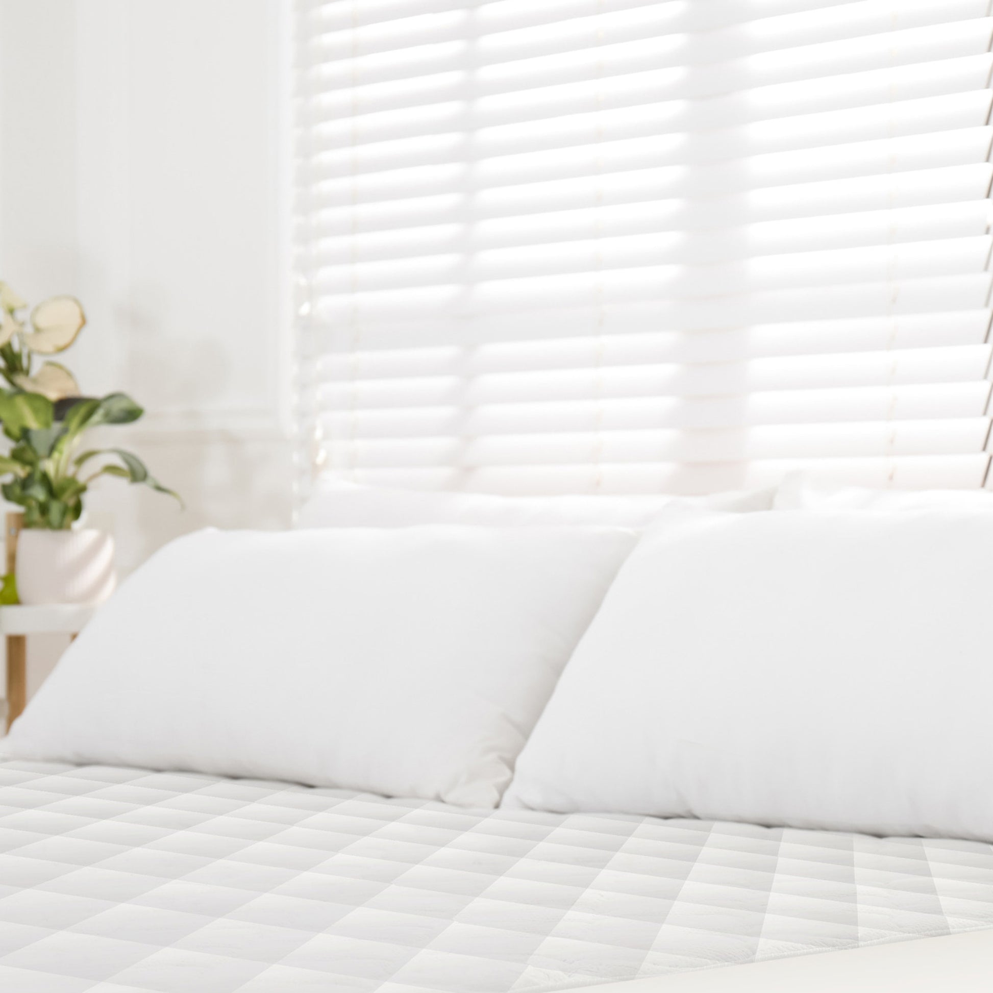 Luxury organic mattress pad on bed with white pillows, sunlight filtering through shaded window behind